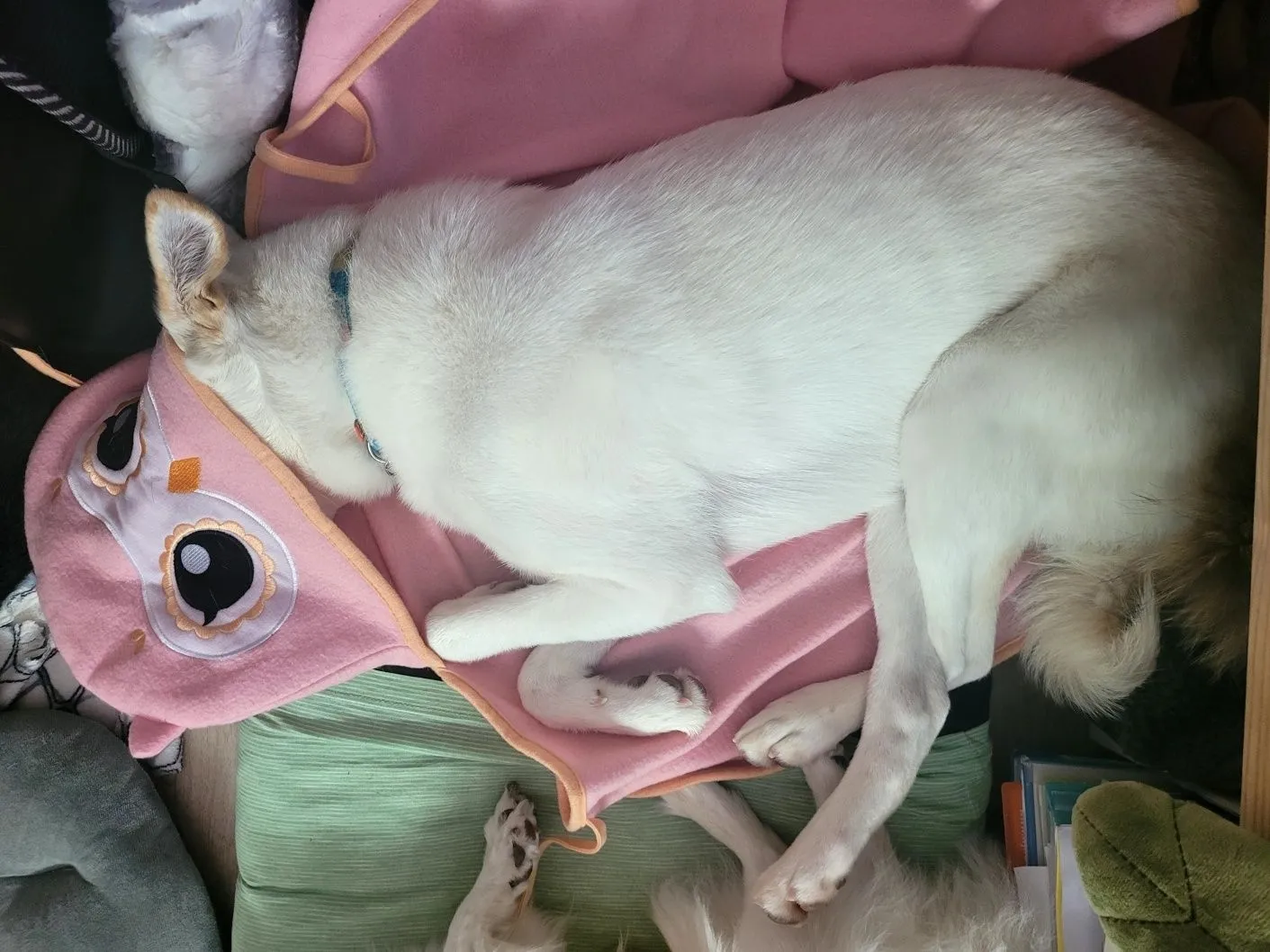 1번째 파일