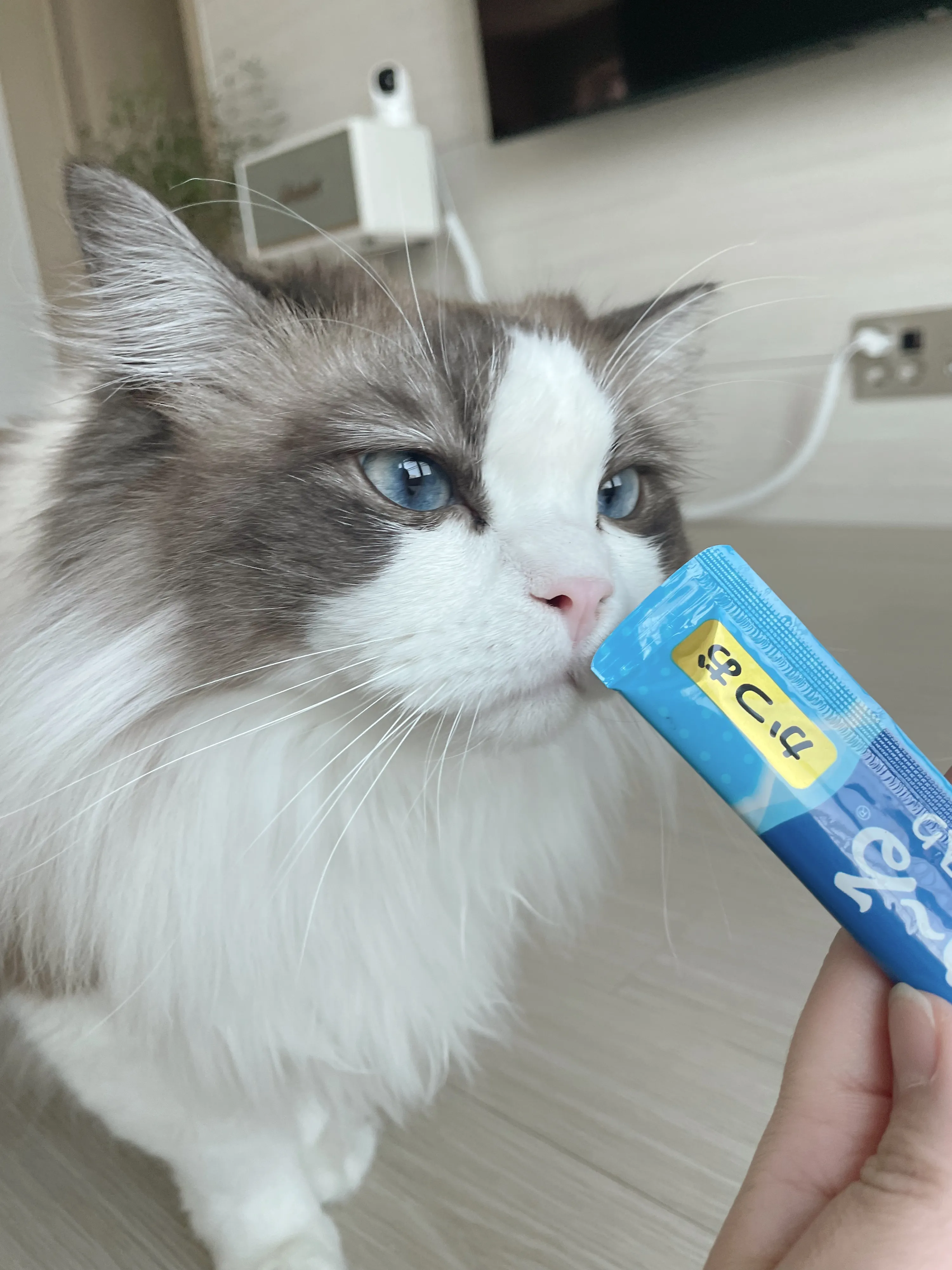 1번째 파일