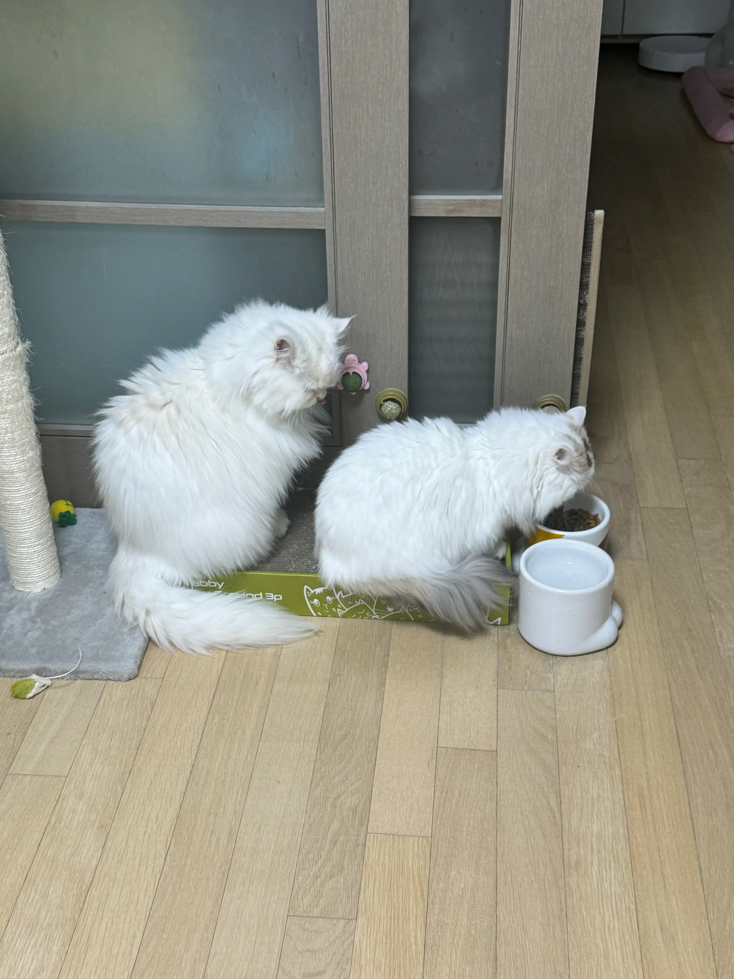 2번째 파일