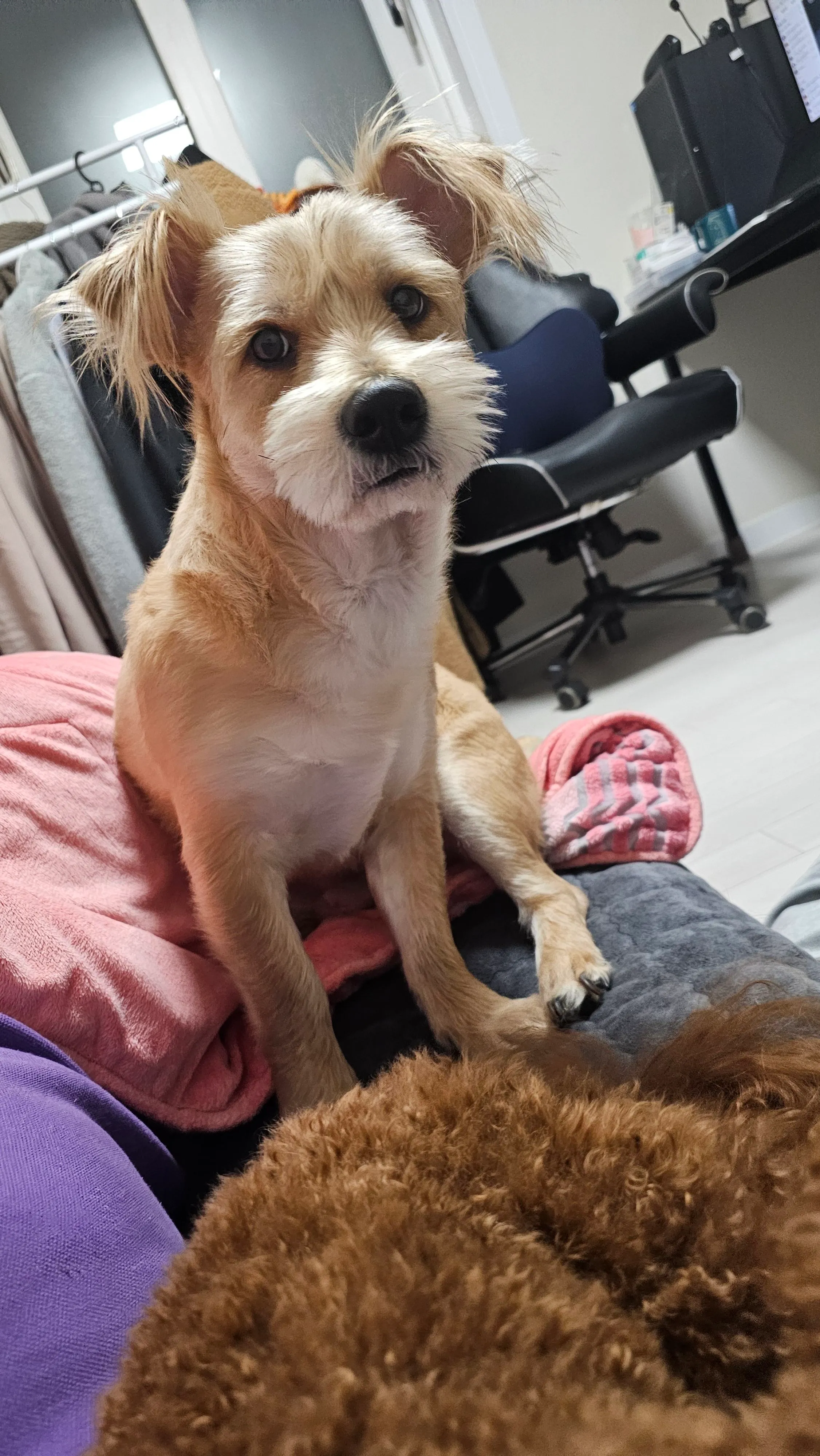 1번째 파일