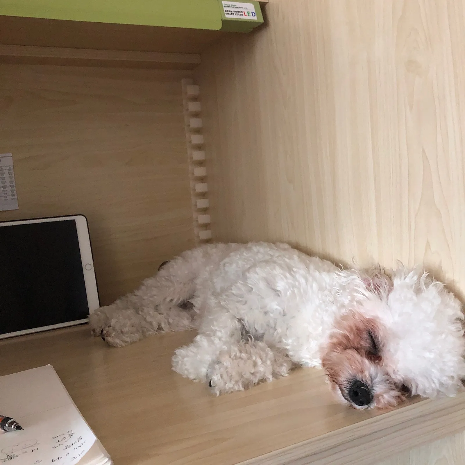 2번째 파일