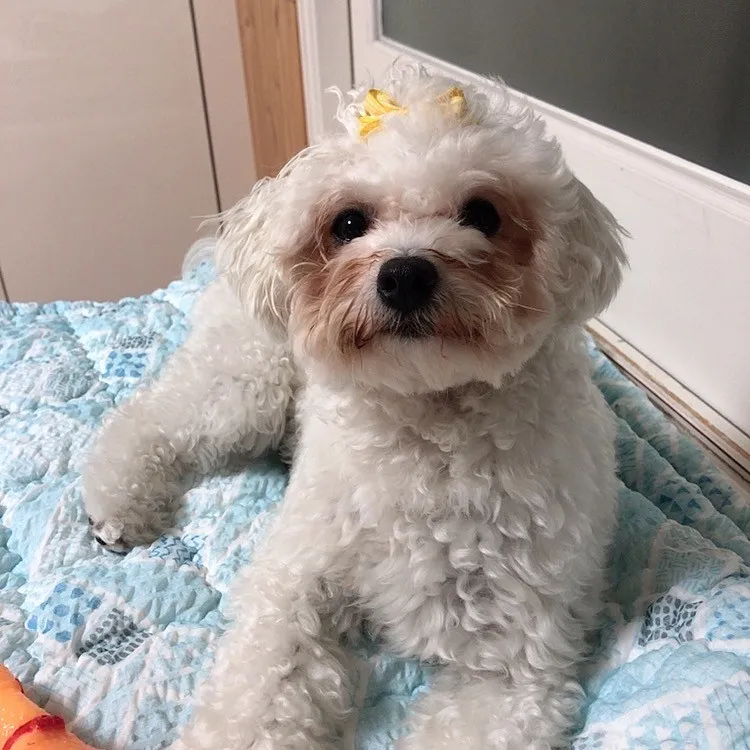 3번째 파일