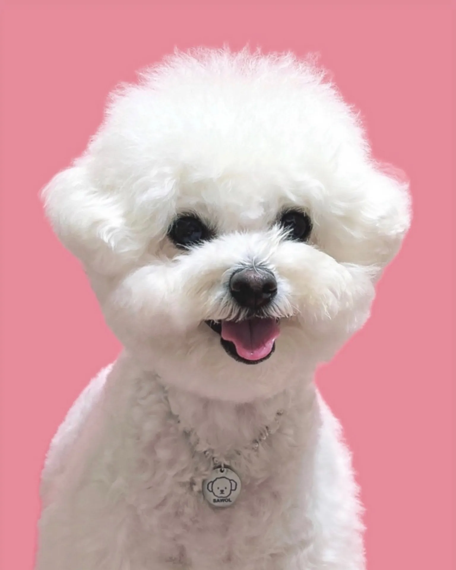 4번째 파일