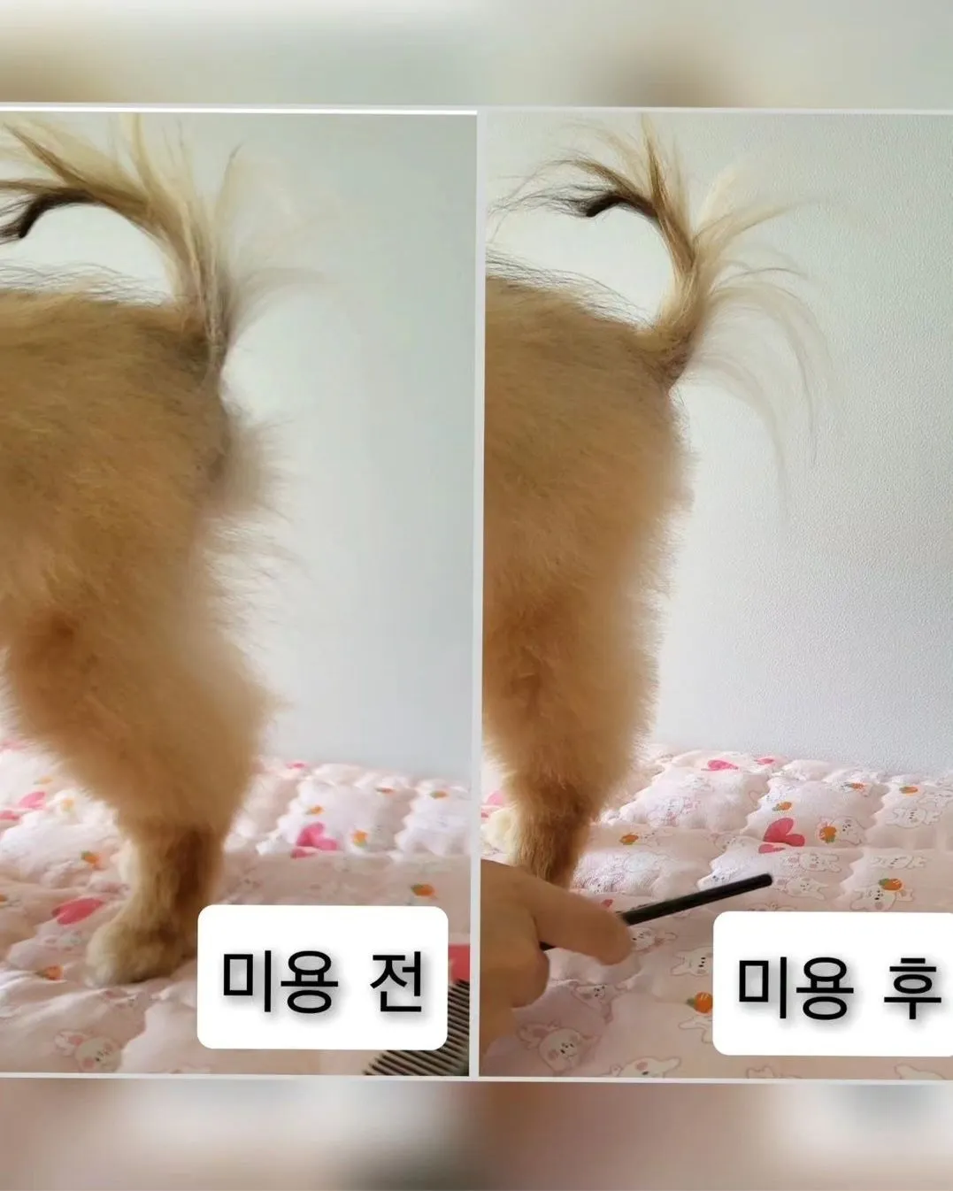 5번째 파일