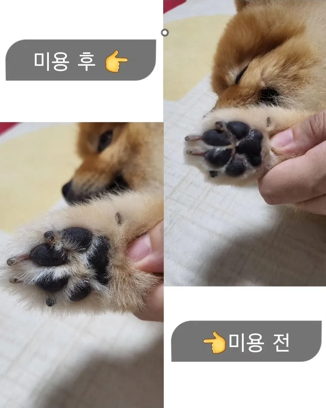 4번째 파일