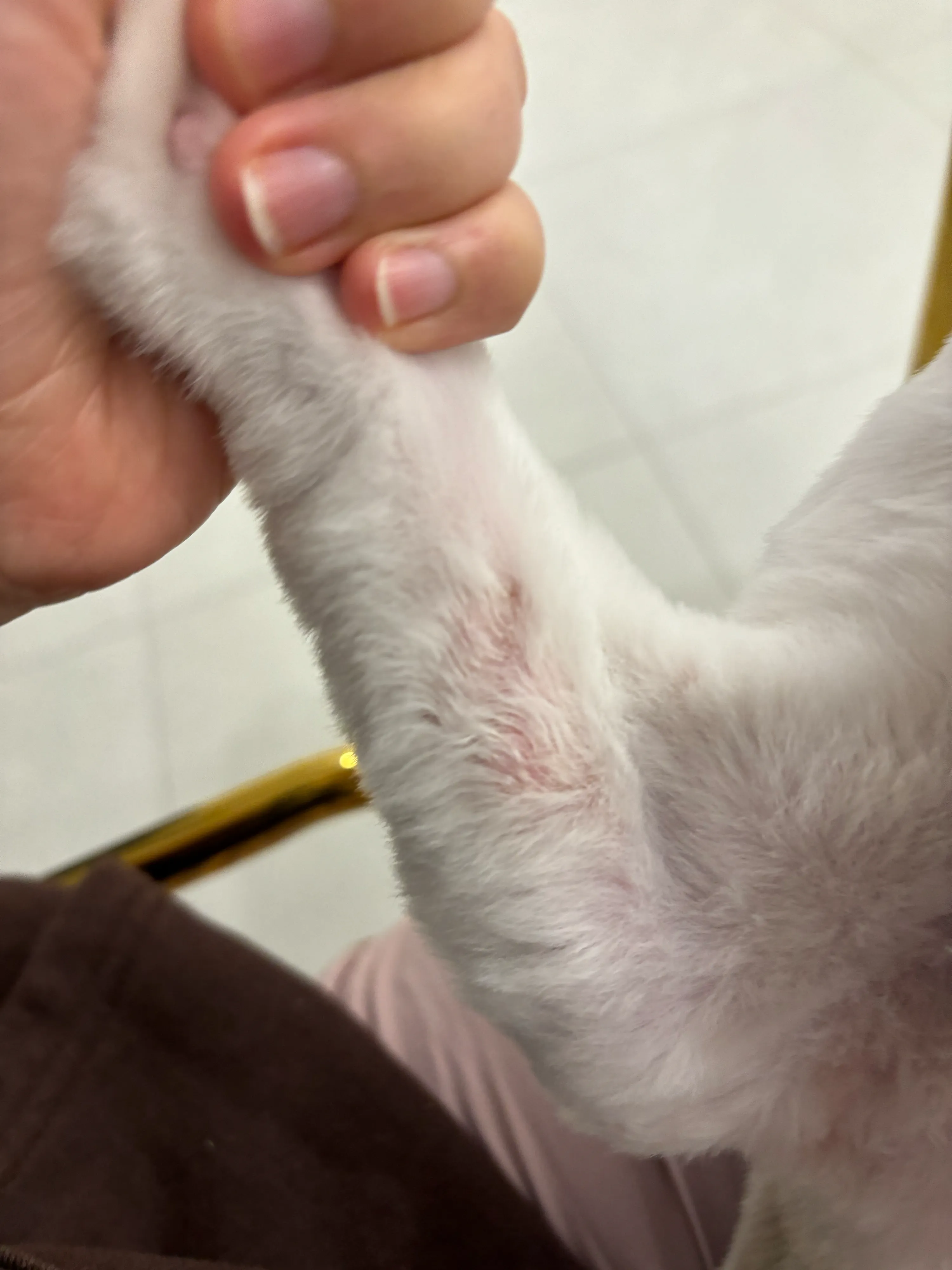 2번째 파일