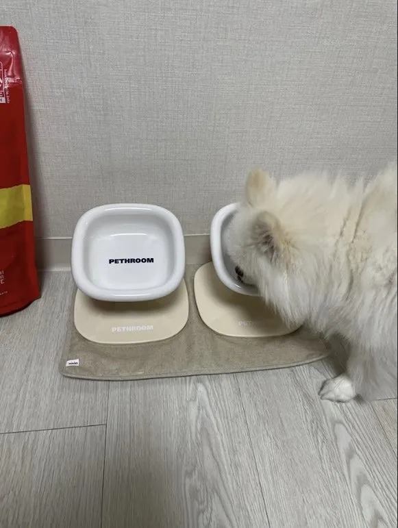 2번째 파일