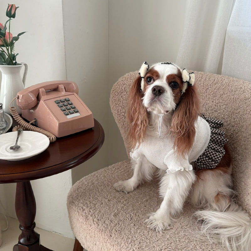 [NEW신상][무료배송] 해피댕댕 리본머리띠 3종 (블랙,아이보리,브라운) S-L 8번째