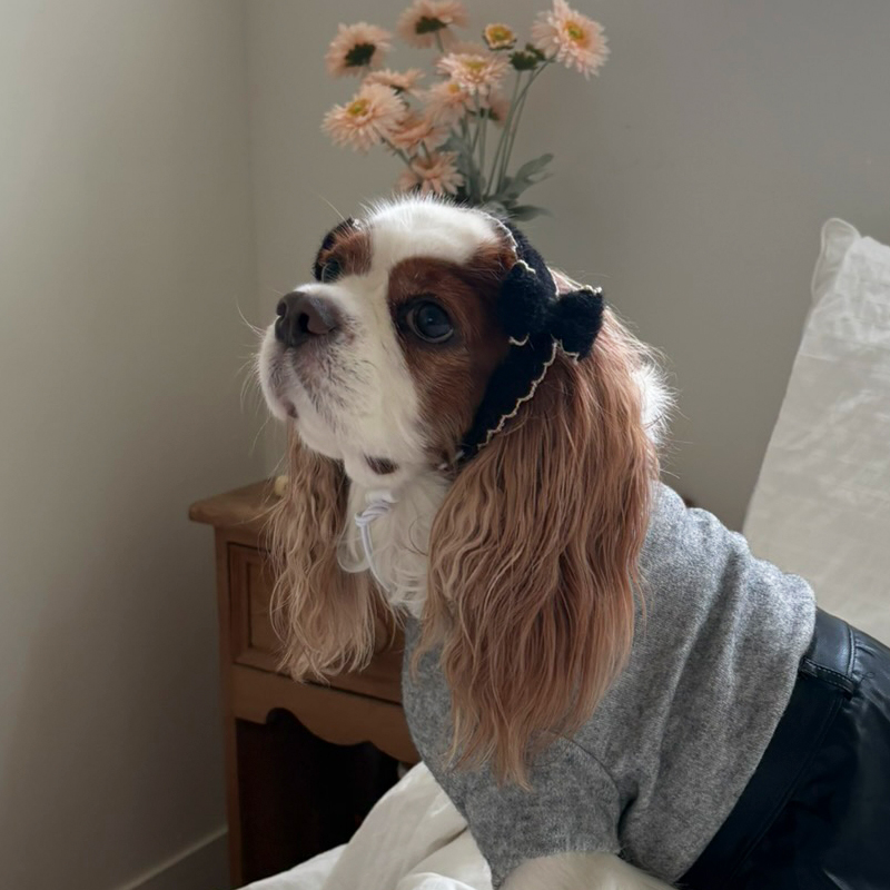 [NEW신상][무료배송] 해피댕댕 리본머리띠 3종 (블랙,아이보리,브라운) S-L 16번째