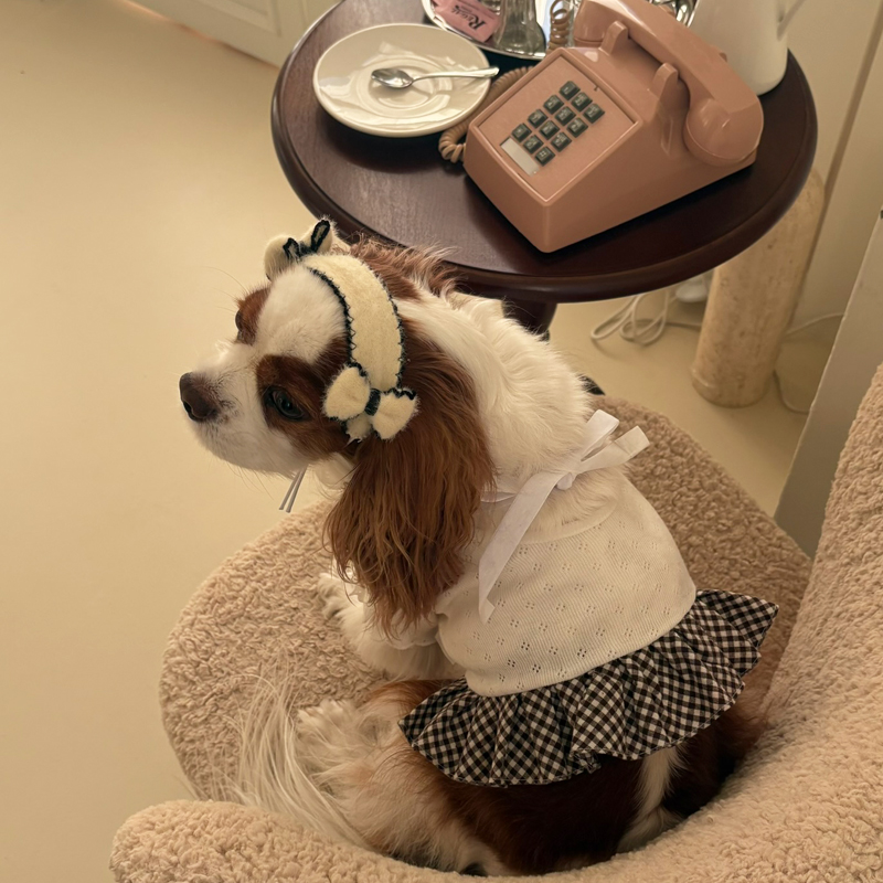 [NEW신상][무료배송] 해피댕댕 리본머리띠 3종 (블랙,아이보리,브라운) S-L 7번째