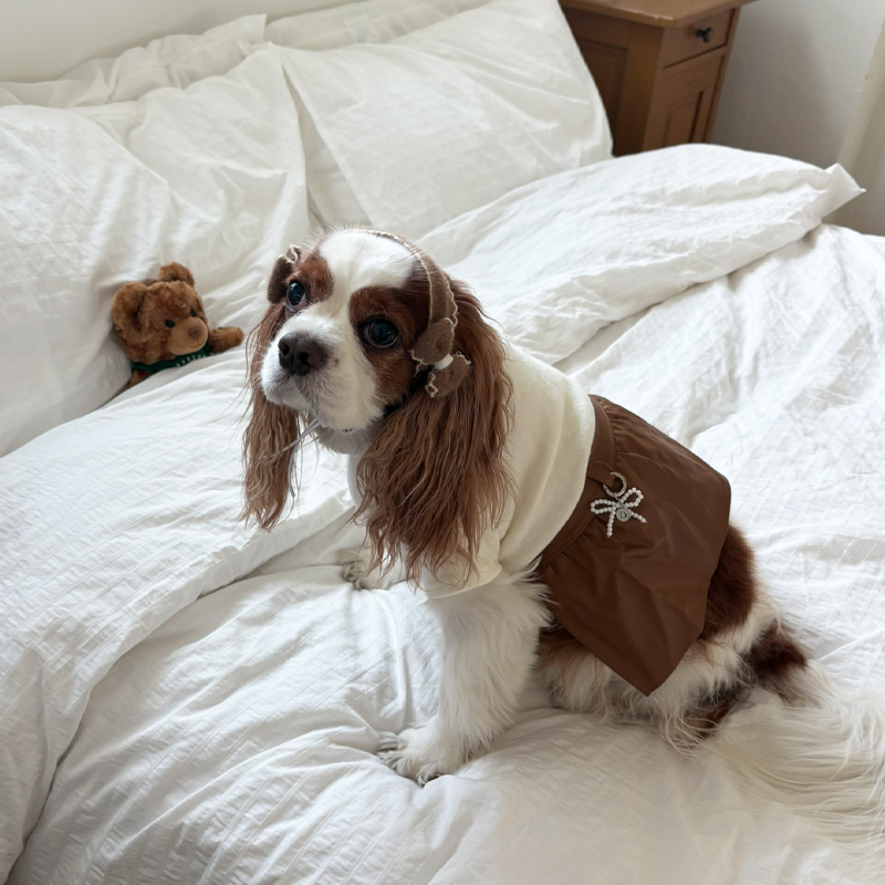 [NEW신상][무료배송] 해피댕댕 리본머리띠 3종 (블랙,아이보리,브라운) S-L 12번째