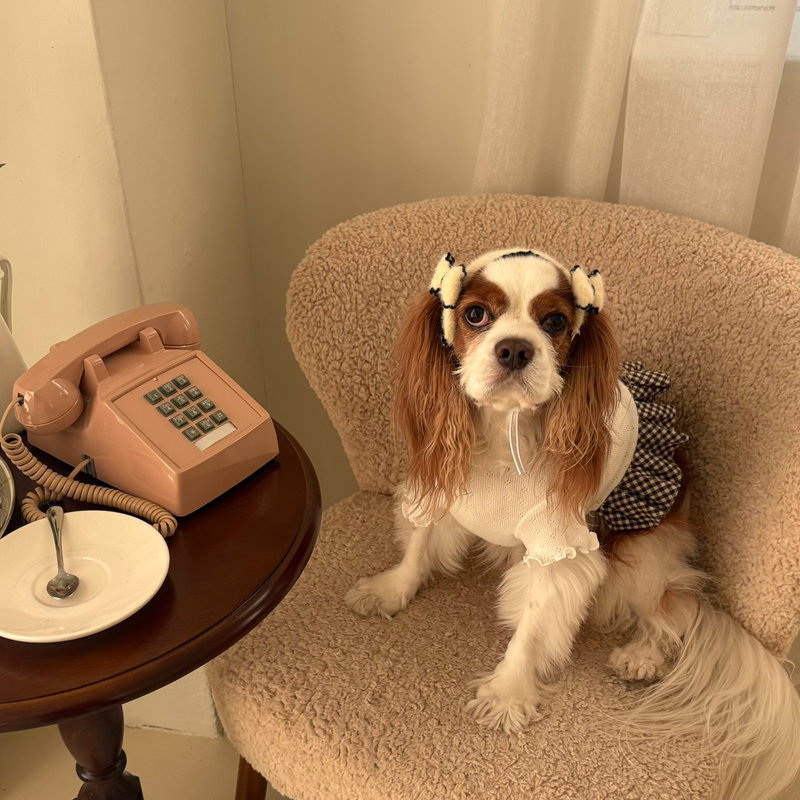 [NEW신상][무료배송] 해피댕댕 리본머리띠 3종 (블랙,아이보리,브라운) S-L 6번째