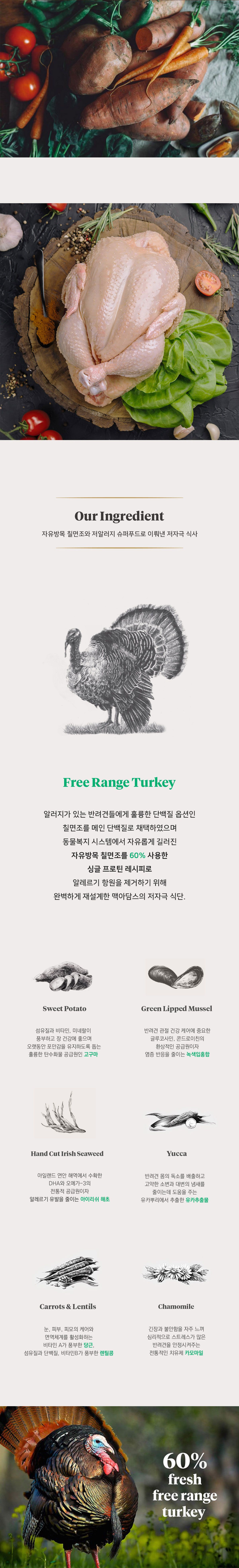 [유통기한임박, 26년5월17일] 맥아담스 독 방목 홀터키 중대형견 터키 5kg 6번째