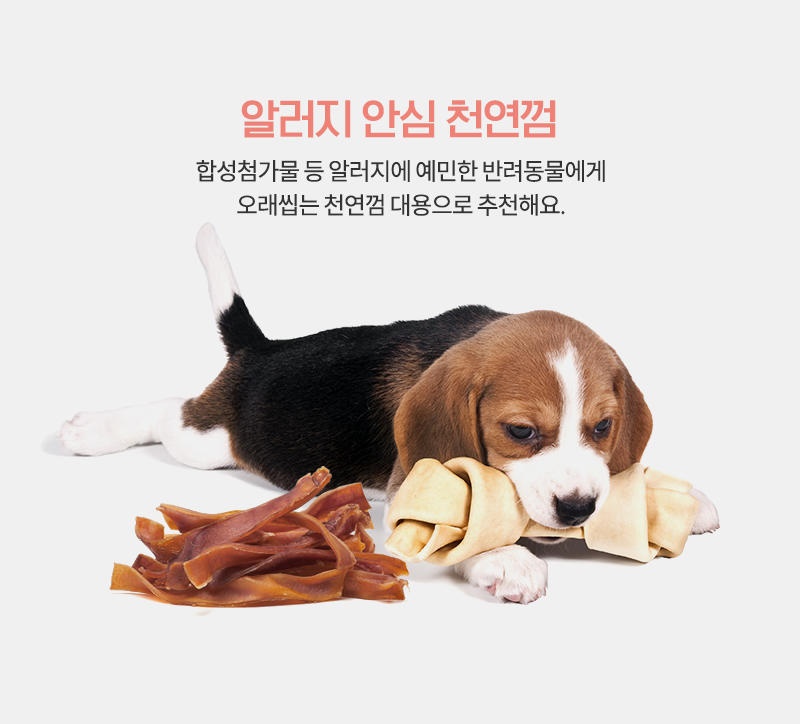 [무료배송] [추가증정] 골드로니 예스아임리얼 쫀득천연껌 돼지귀 130g + 순살스틱 2p 증정 15번째