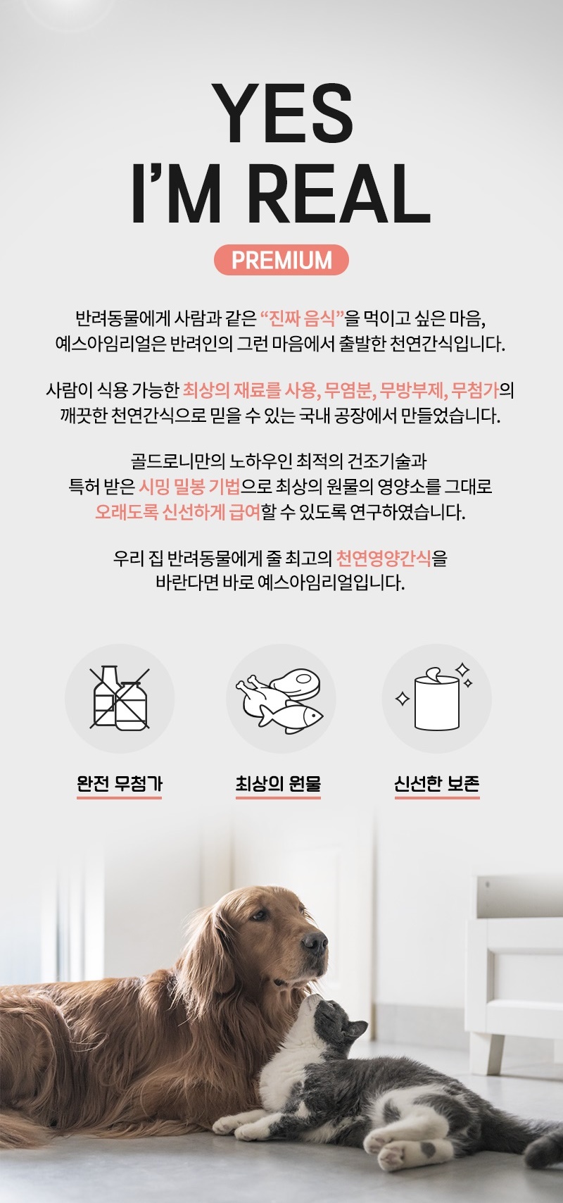 [무료배송] [추가증정] 골드로니 예스아임리얼 쫀득천연껌 돼지귀 130g + 순살스틱 2p 증정 2번째