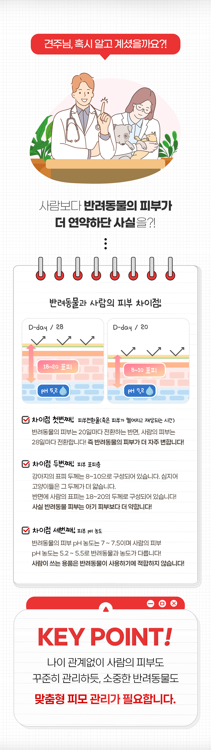 [무료배송] 댕모어 댕샴푸 300ml 5번째