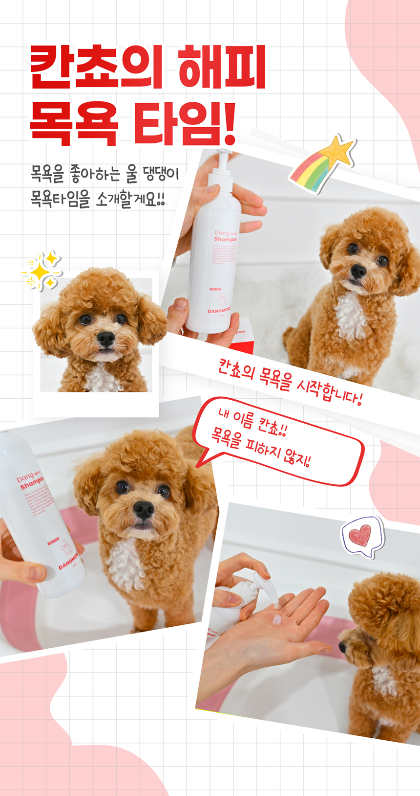 [무료배송] 댕모어 댕샴푸 300ml 3번째