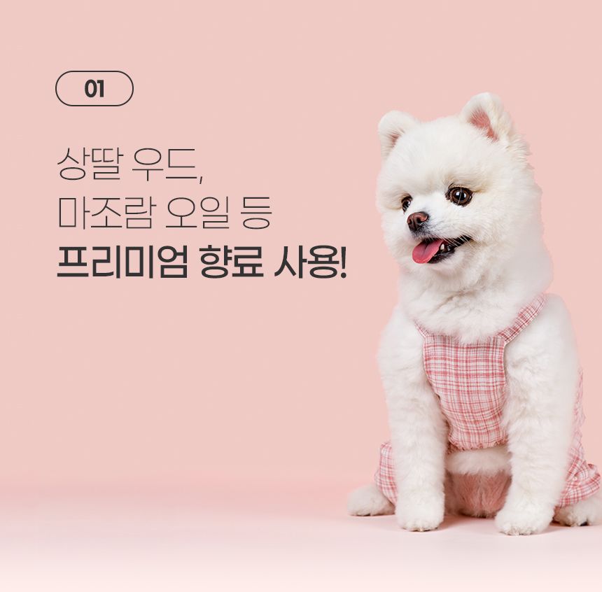 뽀숑 개끗한 똥지우개 세정 탈취제 300ml 20번째