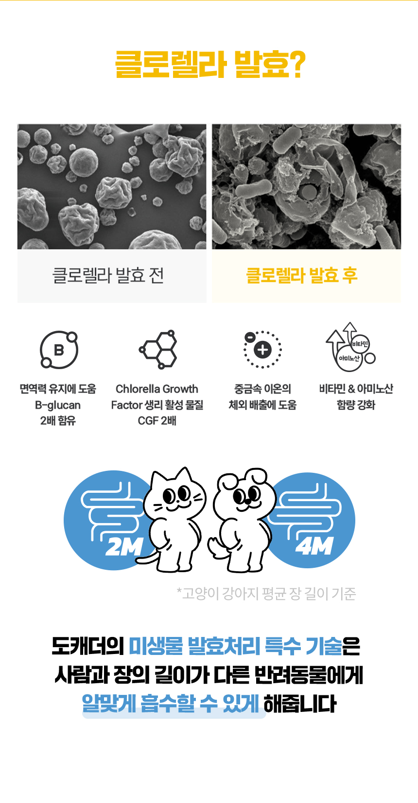 도캐더 황금트릿 치킨&고구마 세트 130g 11번째
