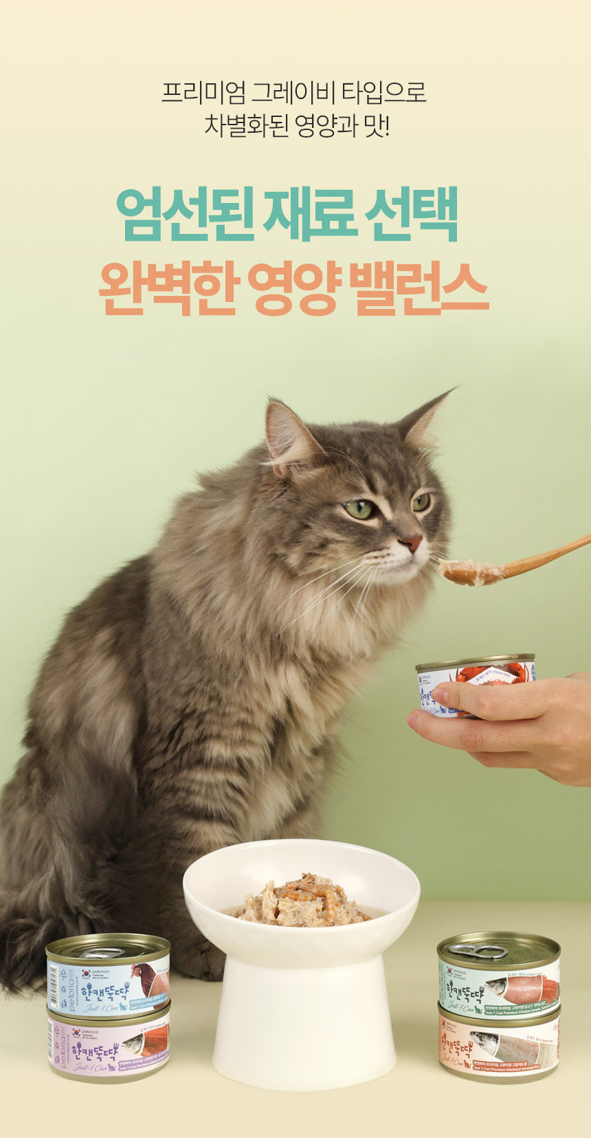 [NEW신상][무료배송] [24개] 한캔뚝딱 프리미엄 영양특식 고양이캔 치킨 베스트 3종 콤보 85g 11번째
