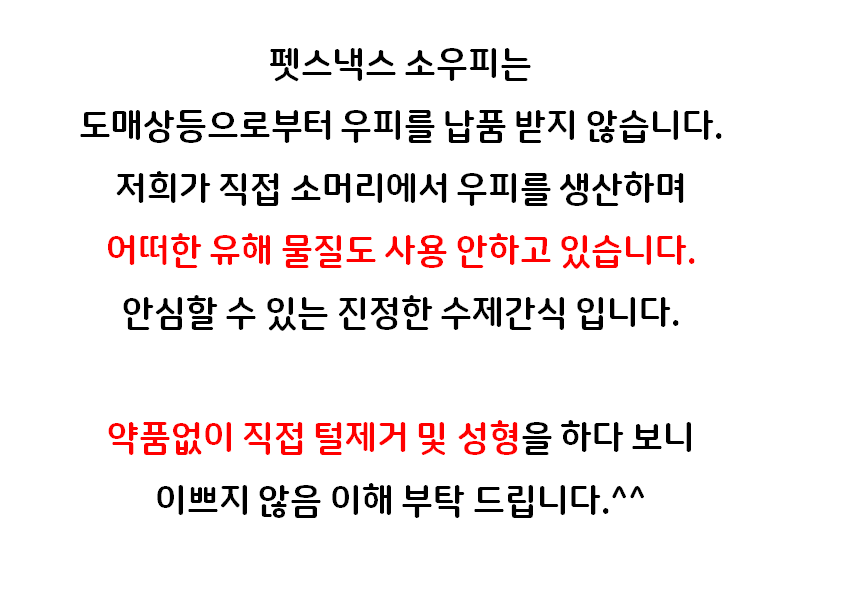 [무료배송] [2개] 펫스낵스 독 한우 자연 우피 100g 2번째