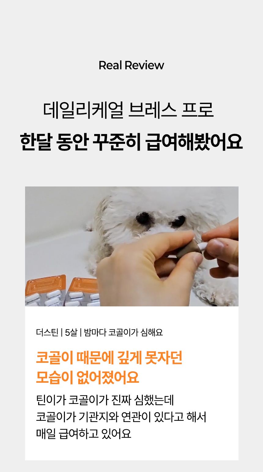[심쿵펫페어]펫생각 데일리케얼 브레스 PRO 기관지 영양제 60캡슐 9번째