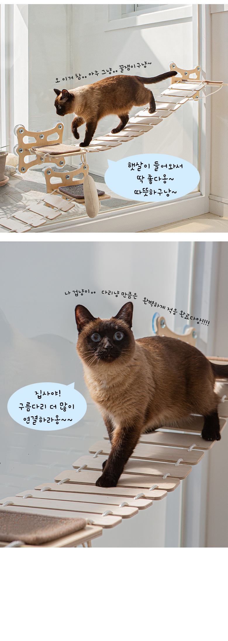 [무료배송] 모넬로 다리냥 고양이 구름다리 창문 캣워커 원목 캣타워 캣브릿지 GO23012 5번째