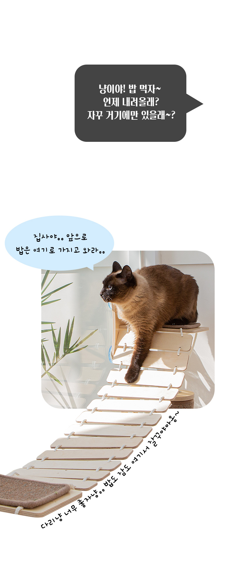 [무료배송] 모넬로 다리냥 고양이 구름다리 창문 캣워커 원목 캣타워 캣브릿지 GO23012 19번째
