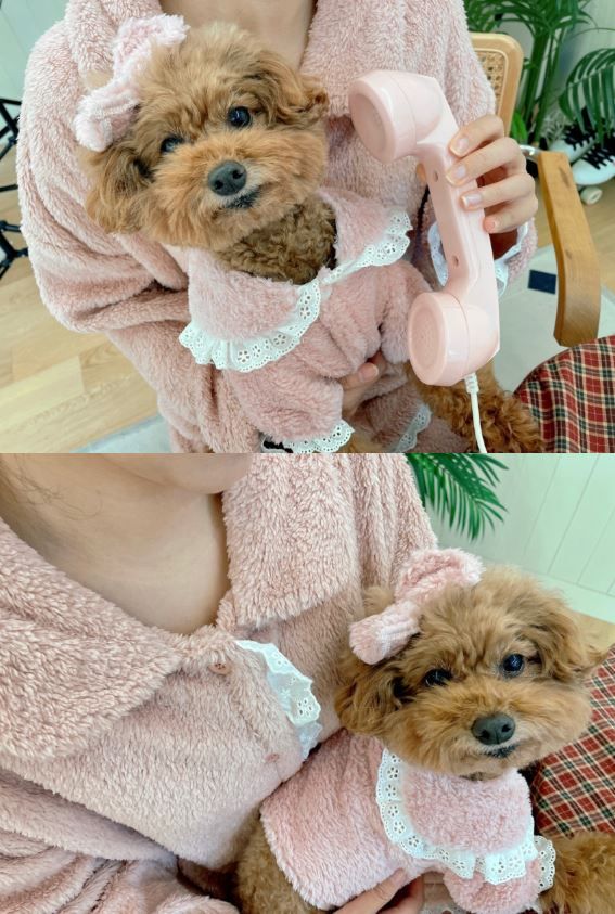 [무료배송] 찰리롤리 러블리 레이스 파자마 핑크/아이보리 S-2XL 8번째