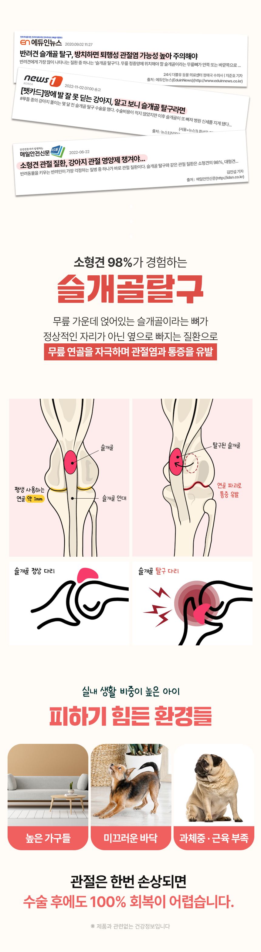 펫생각 독 데일리케얼 리얼 칼슘 관절 영양제 120g  9번째