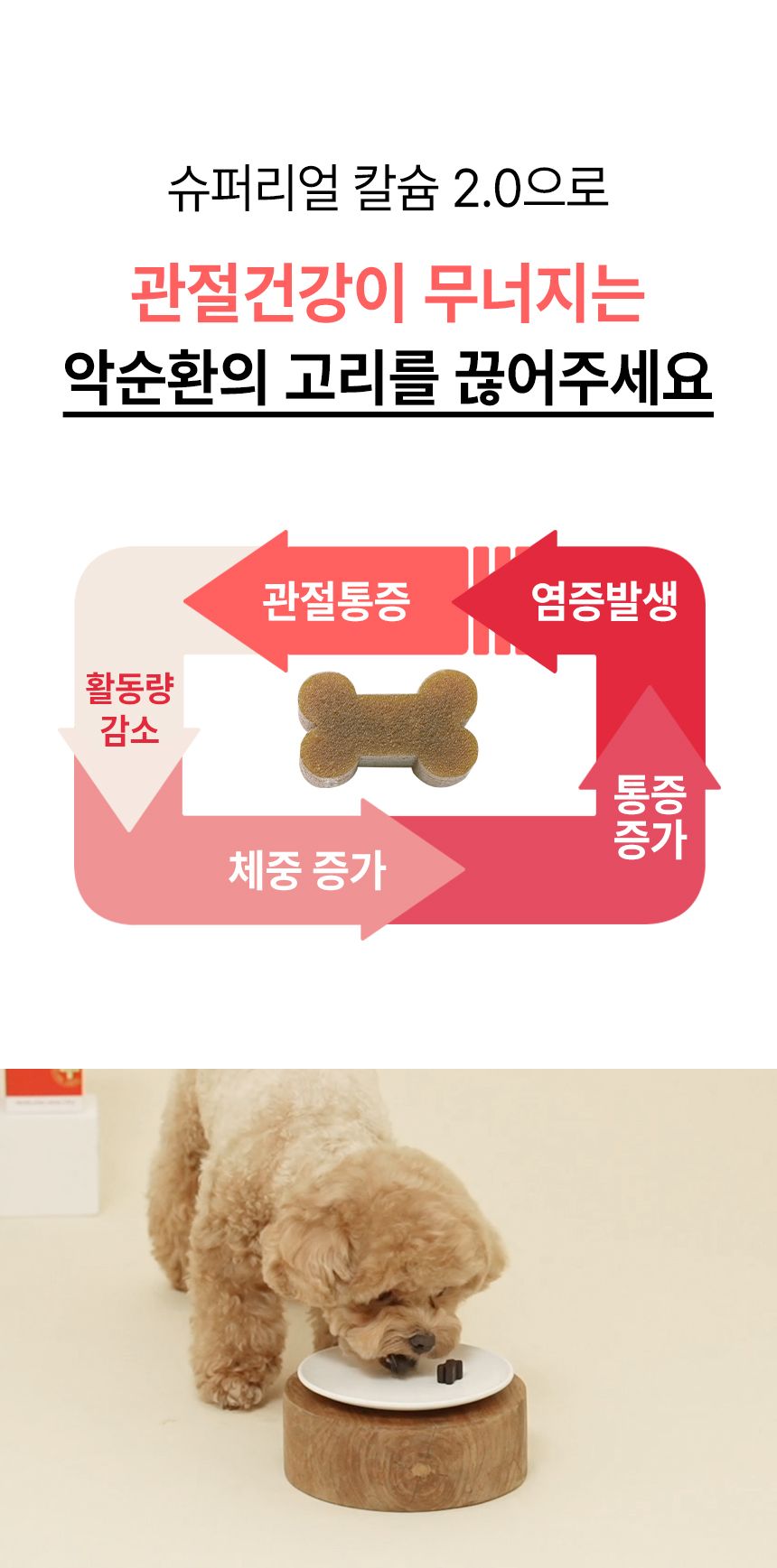 펫생각 독 데일리케얼 리얼 칼슘 관절 영양제 120g 8번째