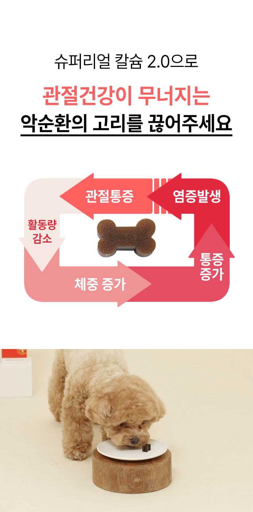 펫생각 독 데일리케얼 리얼 칼슘 관절 영양제 120g 8번째