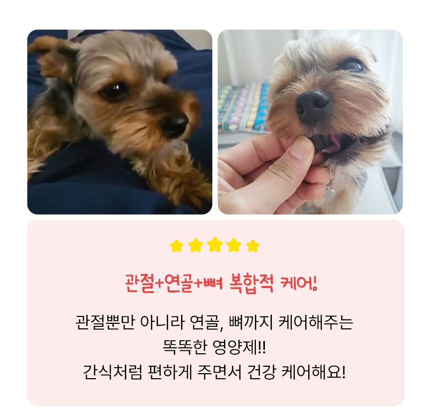 펫생각 독 데일리케얼 리얼 칼슘 관절 영양제 120g  6번째