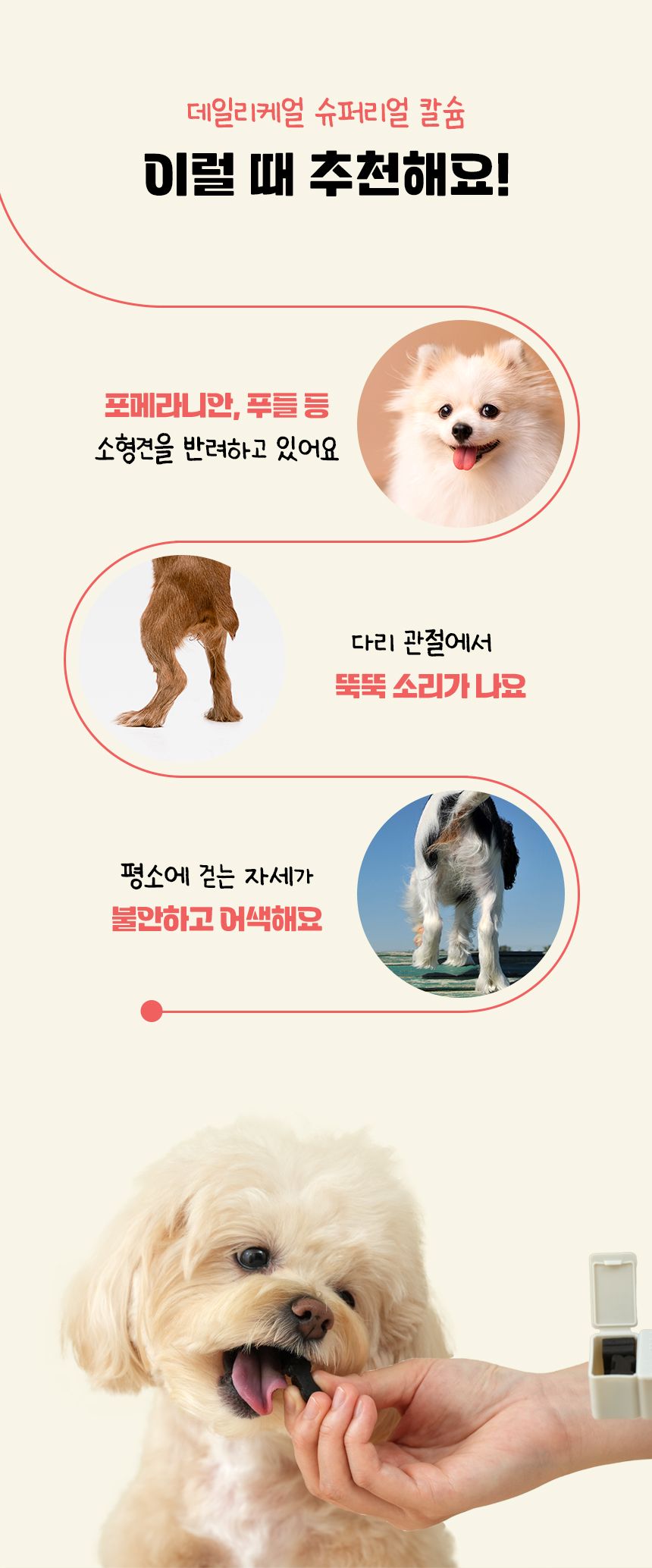 펫생각 독 데일리케얼 리얼 칼슘 관절 영양제 120g  16번째