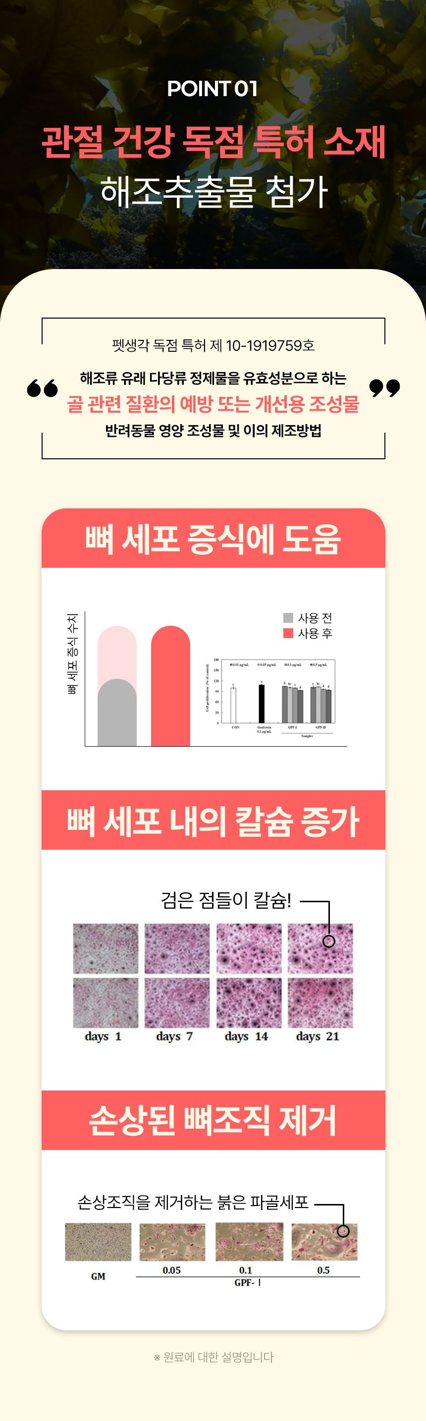 펫생각 독 데일리케얼 리얼 칼슘 관절 영양제 120g 10번째