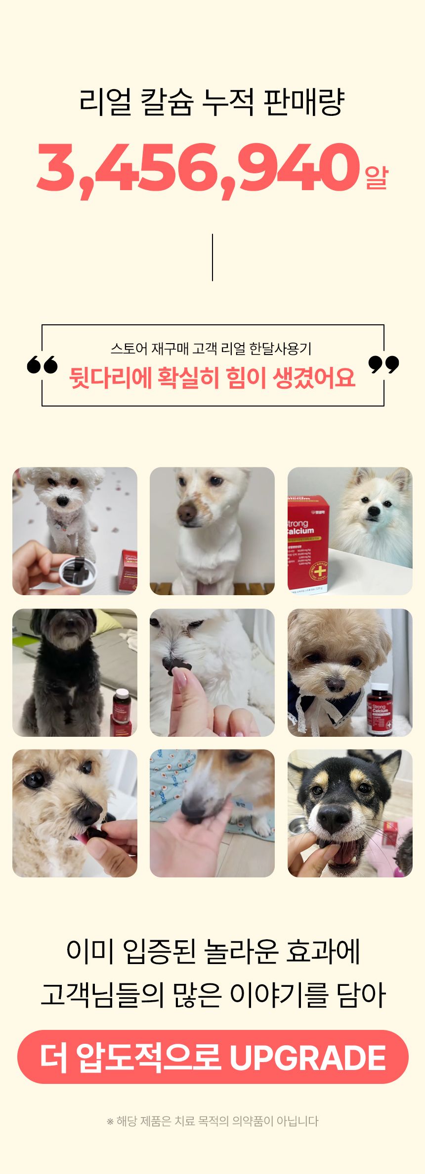펫생각 독 데일리케얼 리얼 칼슘 관절 영양제 120g 3번째