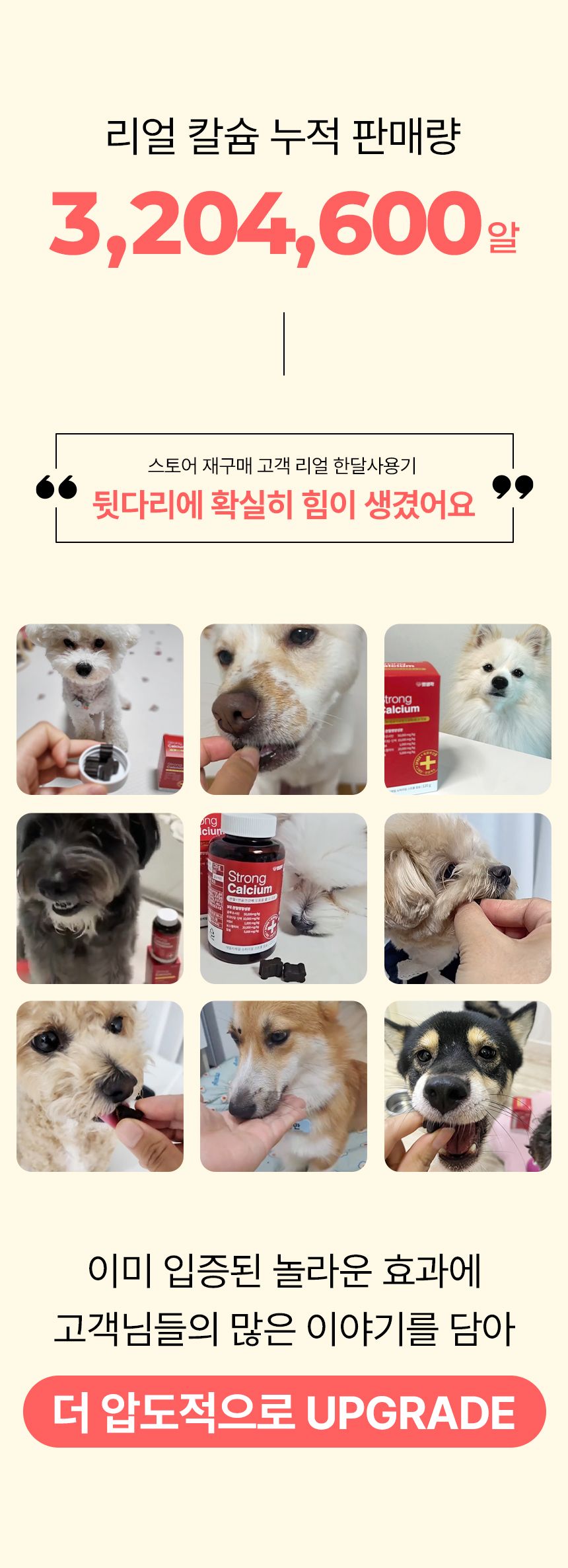 펫생각 독 데일리케얼 리얼 칼슘 관절 영양제 120g 3번째