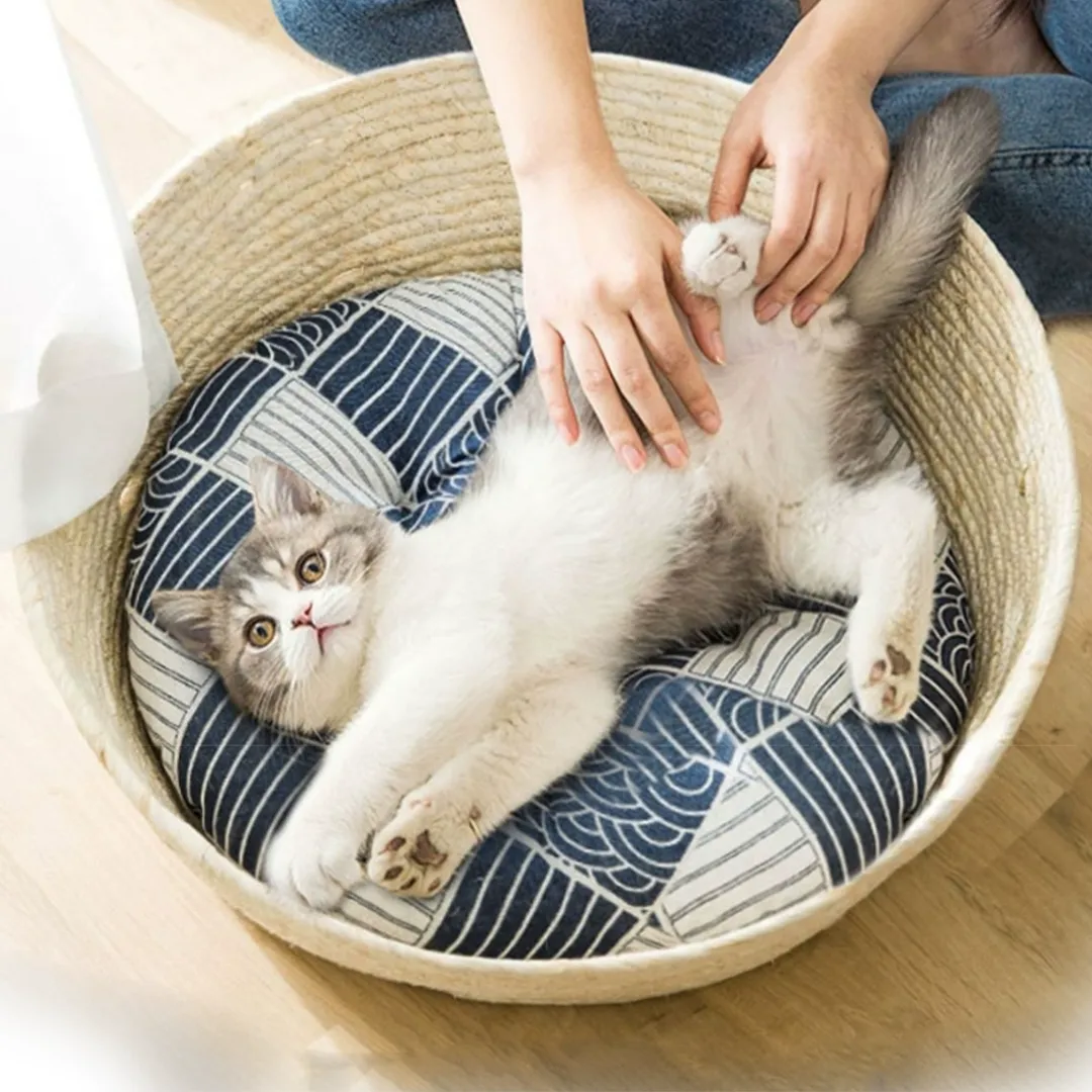 반려일상 고양이 꿀잠 바구니 S/M