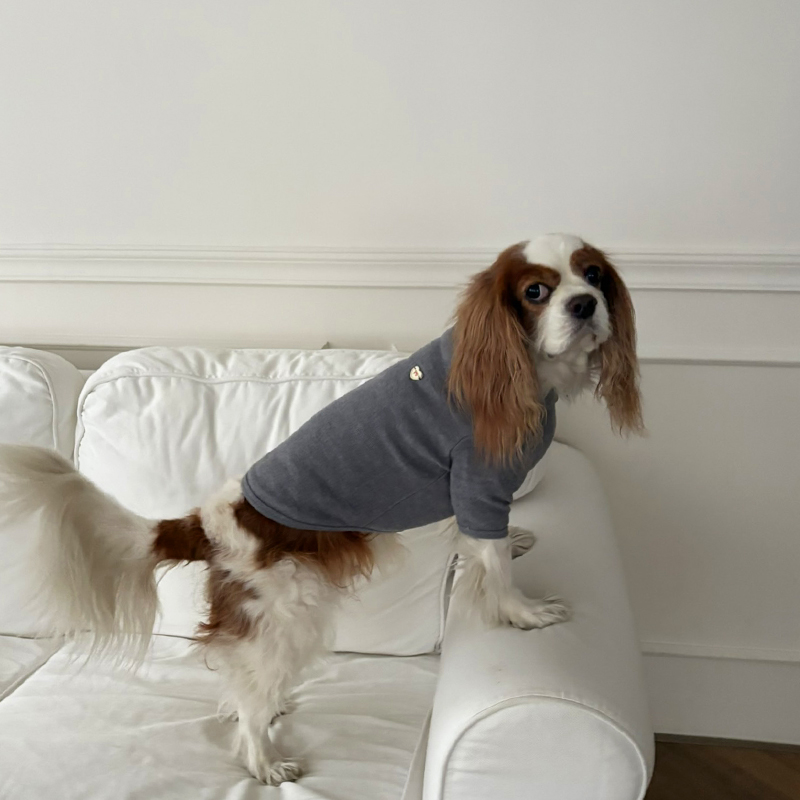 [NEW신상][무료배송] 해피댕댕 무지하트폴라티 4종 (블랙,그레이,아이보리,핑크) S-2XL 14번째