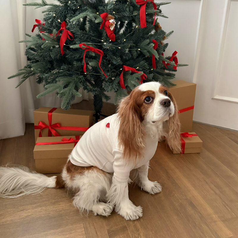 [NEW신상][무료배송] 해피댕댕 무지하트폴라티 4종 (블랙,그레이,아이보리,핑크) S-2XL 10번째