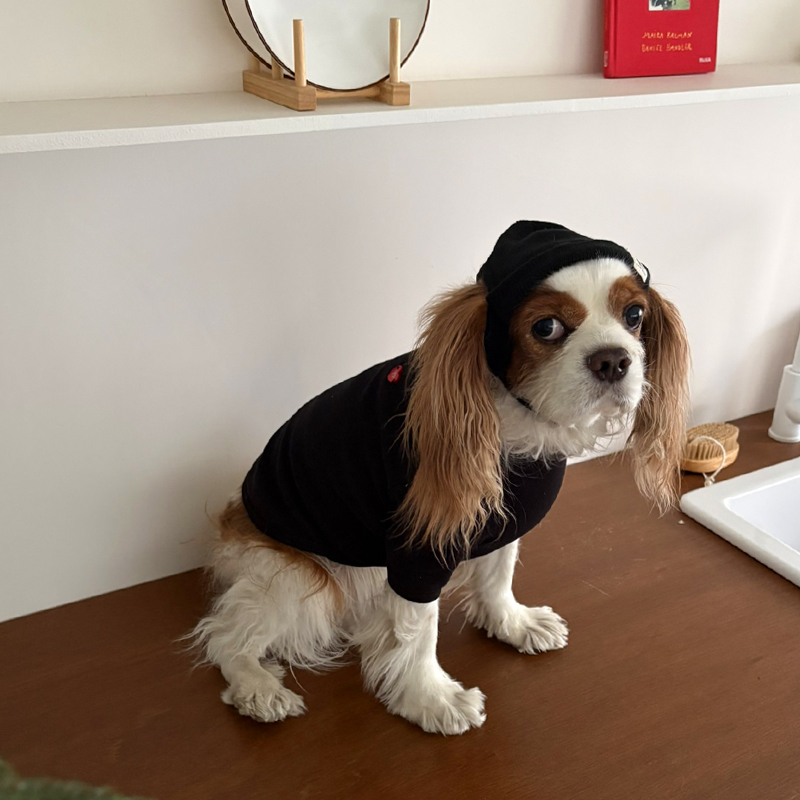 [NEW신상][무료배송] 해피댕댕 무지하트폴라티 4종 (블랙,그레이,아이보리,핑크) S-2XL 18번째