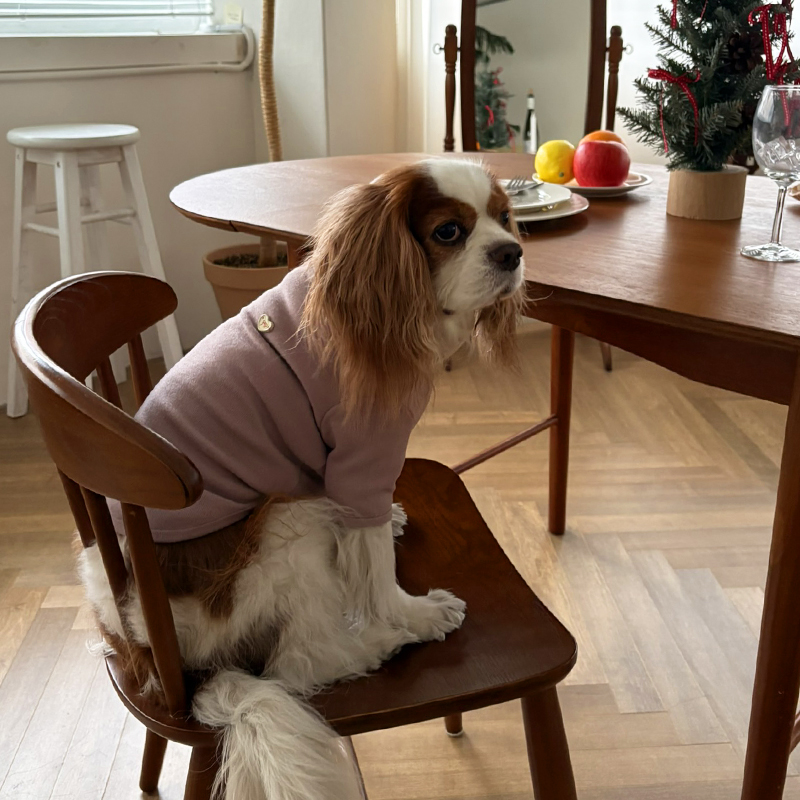 [NEW신상][무료배송] 해피댕댕 무지하트폴라티 4종 (블랙,그레이,아이보리,핑크) S-2XL 8번째