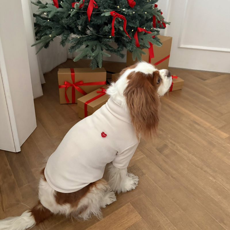 [NEW신상][무료배송] 해피댕댕 무지하트폴라티 4종 (블랙,그레이,아이보리,핑크) S-2XL 11번째