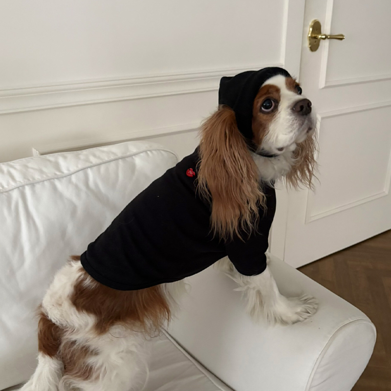 [NEW신상][무료배송] 해피댕댕 무지하트폴라티 4종 (블랙,그레이,아이보리,핑크) S-2XL 20번째