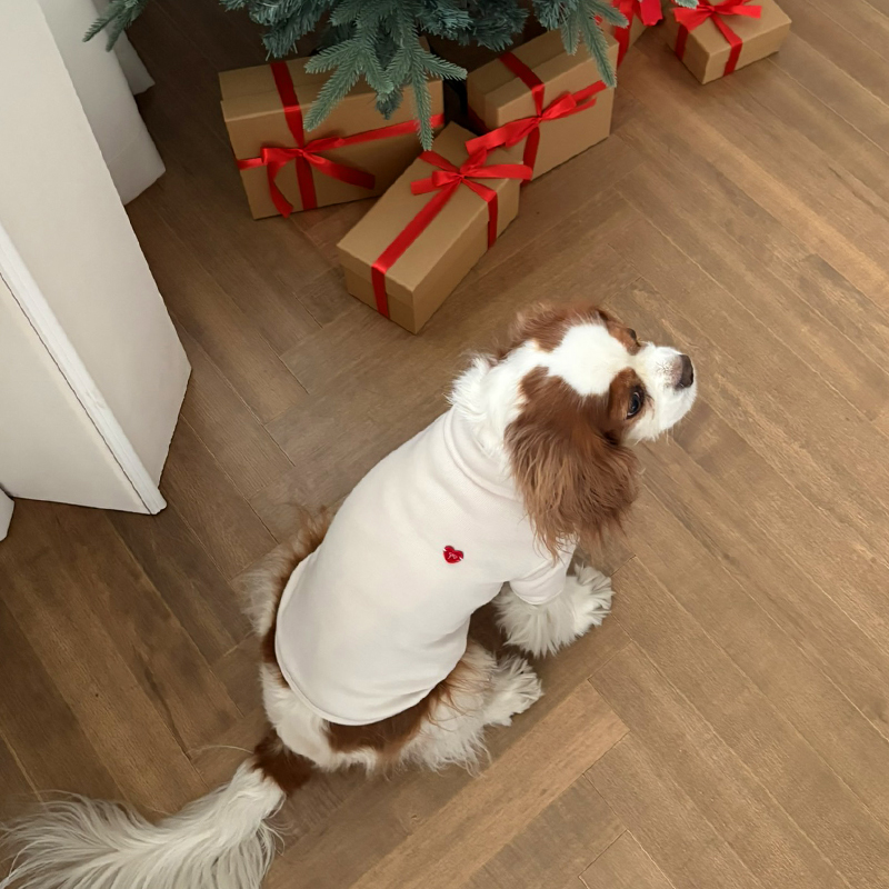 [NEW신상][무료배송] 해피댕댕 무지하트폴라티 4종 (블랙,그레이,아이보리,핑크) S-2XL 12번째