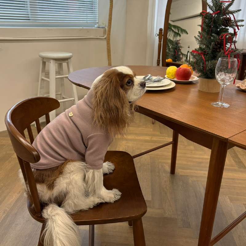 [NEW신상][무료배송] 해피댕댕 무지하트폴라티 4종 (블랙,그레이,아이보리,핑크) S-2XL 6번째