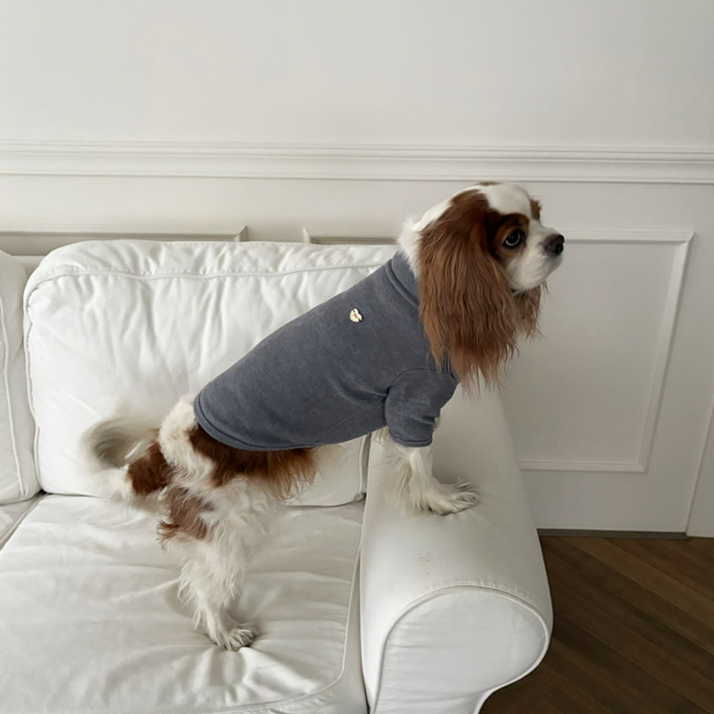 [NEW신상][무료배송] 해피댕댕 무지하트폴라티 4종 (블랙,그레이,아이보리,핑크) S-2XL 15번째