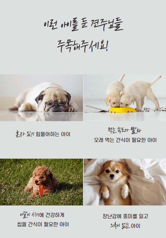 [무료배송] 오간식 독 오래먹는간식 돈돈꿀맛나 3번째