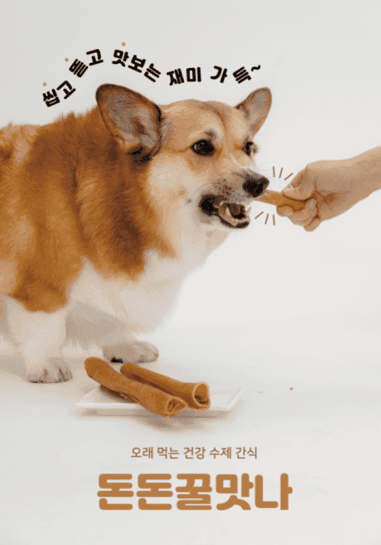 [무료배송] 오간식 독 오래먹는간식 돈돈꿀맛나 2번째