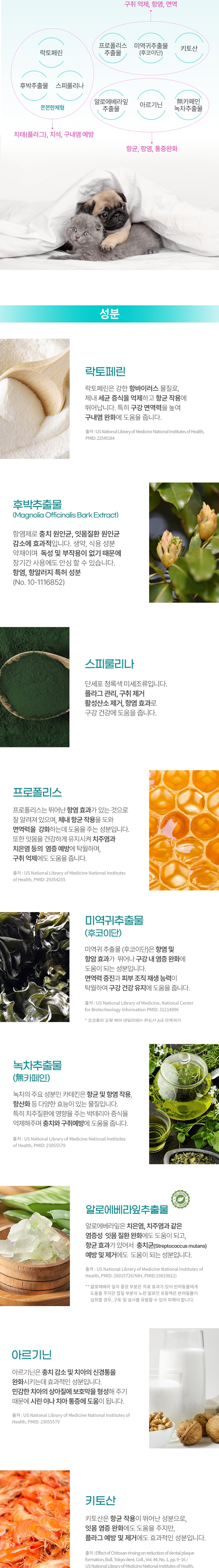 [NEW신상][무료배송] 코코몰리 오랄케어 데일리 칫솔&치약 세트 3번째